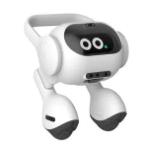 ঘরের কাজকে আরও সহজ ও স্বয়ংক্রিয় করতে নতুন এই ‘হোম রোবট’