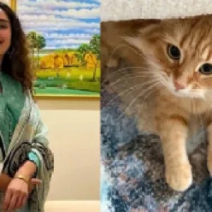 জেবুকে ঘিরে এত কৌতুহল দেখে আমি কিছুটা অবাক : জাইমা রহমান