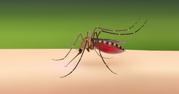 ডেঙ্গুতে আরও পাঁচ জনের মৃত্যু