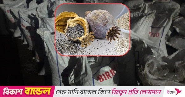 পাখির খাদ্যের আড়ালে পাকিস্তান থেকে এল আমদানি নিষিদ্ধ পপি বীজ