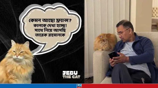 জেবুর অফিসিয়াল ফেসবুক পেজ নিয়ে যা জানা গেল