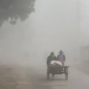 বৃষ্টির মতো ঝরছে কুয়াশা, শীত নিয়ে বড় দু:সংবাদ