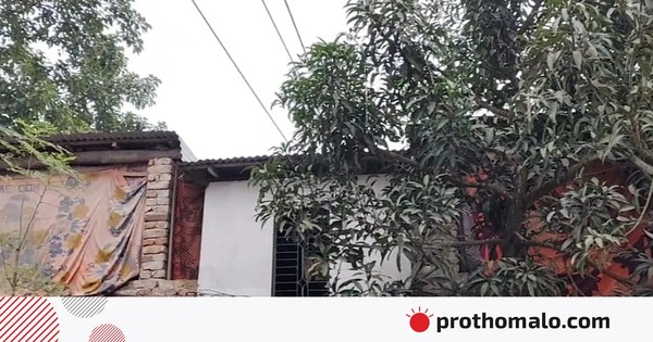 বিড়ালছানা উদ্ধার করতে গিয়ে বিদ্যুৎস্পৃষ্ট হয়ে শিশুর মৃত্যু