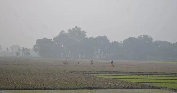 দেশের সর্বনিম্ন তাপমাত্রা আজ যশোরে