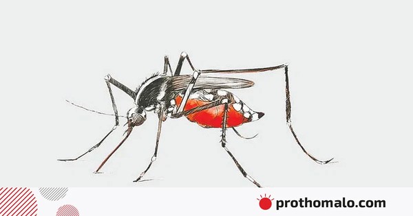 তিন কারণে ডেঙ্গু ছড়াচ্ছে, অক্টোবরের বৃষ্টিও ভোগাবে