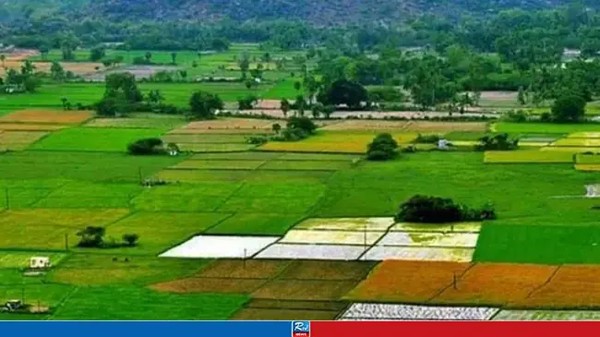 ভূমি আইনে আসছে বড় পরিবর্তন, এক ভুলে জমি হয়ে যাবে সরকারের!