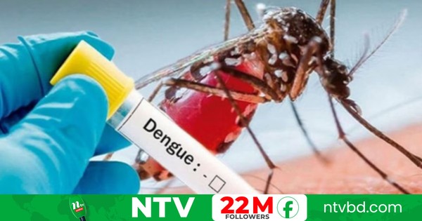 ডেঙ্গুতে পাঁচজনের মৃত্যু, হাসপাতালে ভর্তি ১১৬২