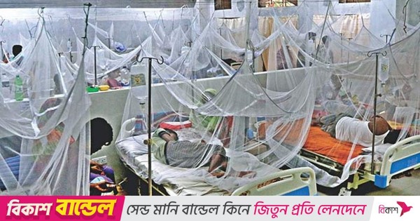 ডেঙ্গু আক্রান্ত হয়ে হাসপাতালে ভর্তি ৪৮৮ জন