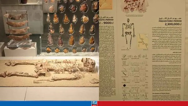 মিশরে ৩৫ হাজার বছরের পুরনো মানব কঙ্কাল