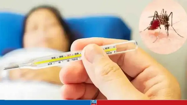 ডেঙ্গুতে আক্রান্ত হয়ে হাসপাতালে ভর্তি ৪৮৮