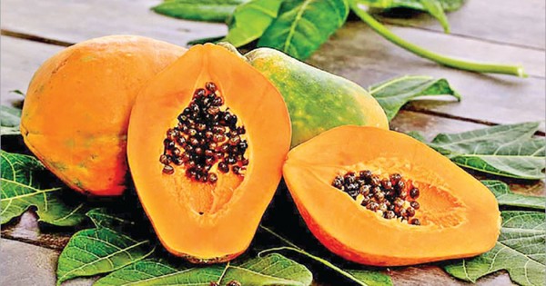 পেঁপে কারা খাবেন না