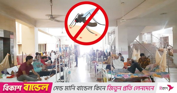 দেশব্যাপী ভয়ংকর রূপে ডেঙ্গু