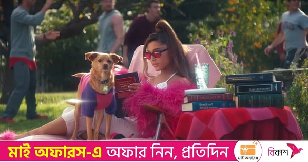 তারকাদের এসব পোষা প্রাণীর খ্যাতি মালিকের চেয়েও কম নয়