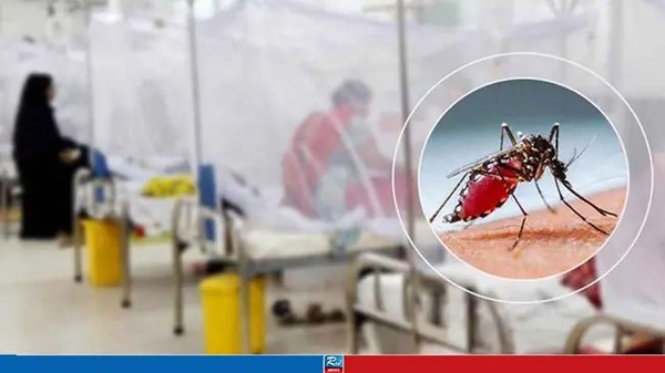 ডেঙ্গু কেড়ে নিল আরও ৪ প্রাণ