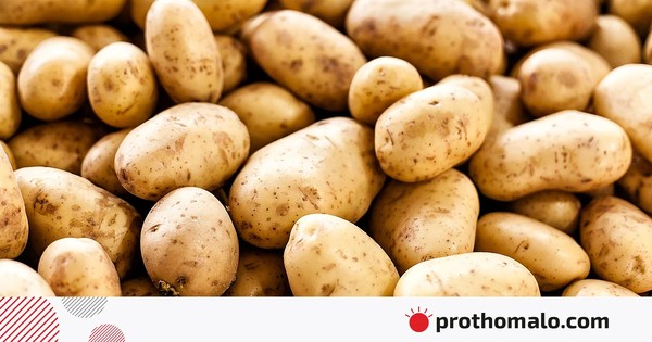 আধা লিটার পানির দামে এক কেজি আলু, আলুচাষির কী হবে