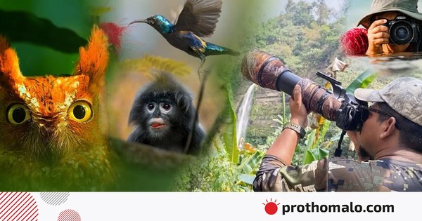 ছবি তুলতে তুলতেই প্রেম-বিয়ে, তাঁরা তুলেছেন ৪০০ প্রজাতির পাখির ছবি