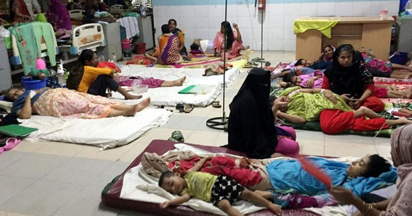 ডেঙ্গুতে ২৪ ঘণ্টায় মৃত্যু নেই, হাসপাতালে ৮৩৪