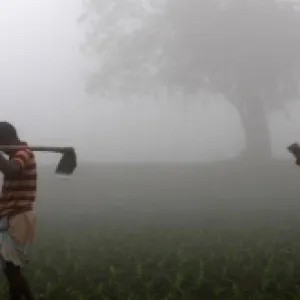 রোদ উঠলেও তাপমাত্রা ৭ ডিগ্রির ঘরে, শৈত্য প্রবাহ ২১ জেলায়