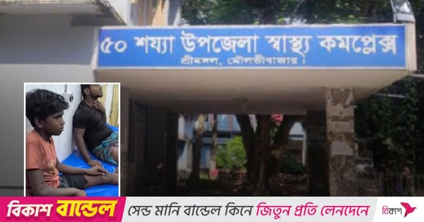 শ্রীমঙ্গলে শিয়াল-বানর-কুকুরের কামড়ে একরাতেই আহত ২৩