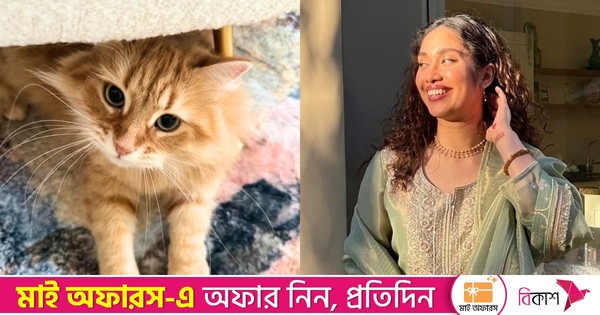 জেবুকে ঘিরে এত কৌতূহল দেখে মজা পাচ্ছি: জাইমা রহমান